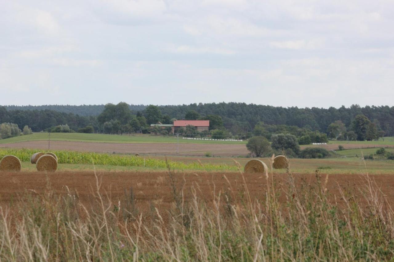 Hof Georgenhoehe Lychen Exterior foto
