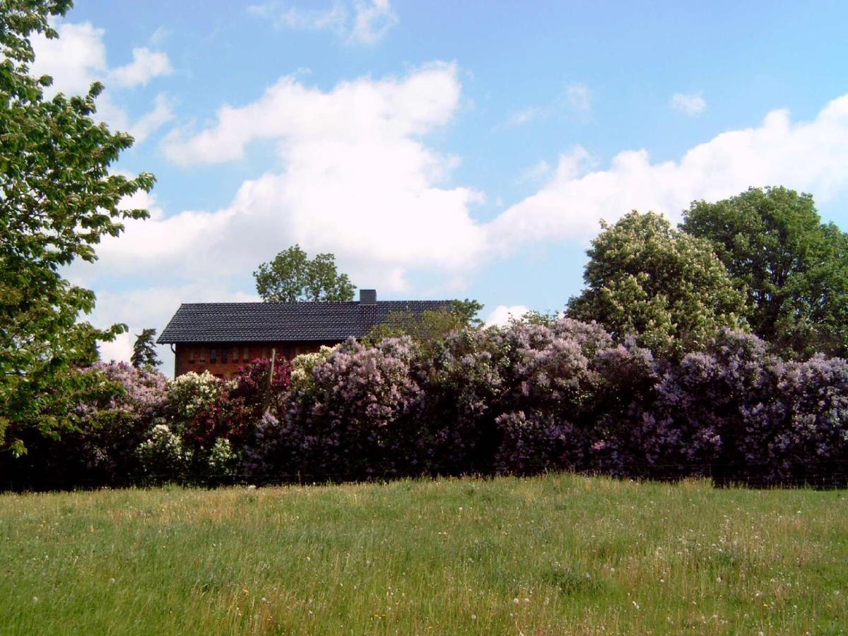 Hof Georgenhoehe Lychen Exterior foto